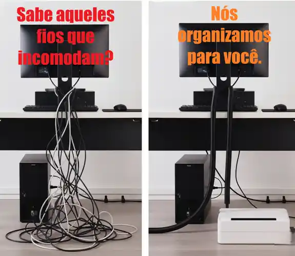 Organização